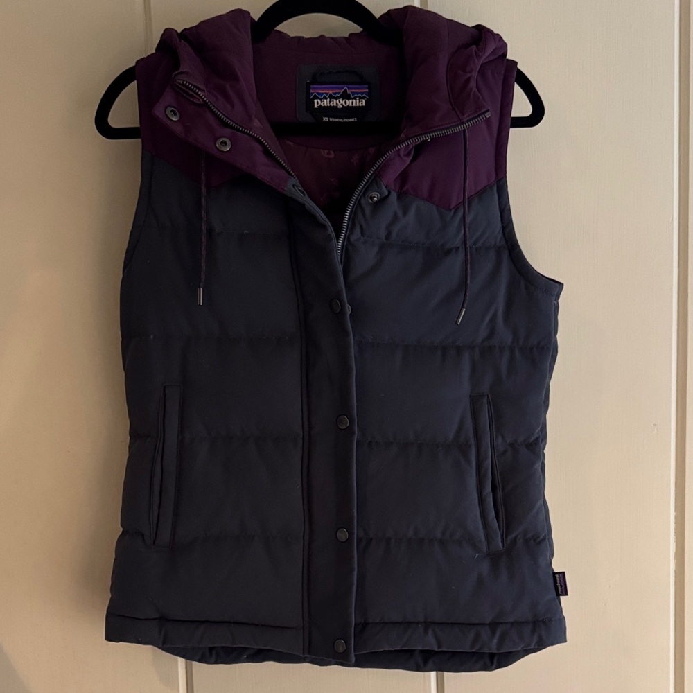 Patagonia Steel Blue and Purple Puffer Vest